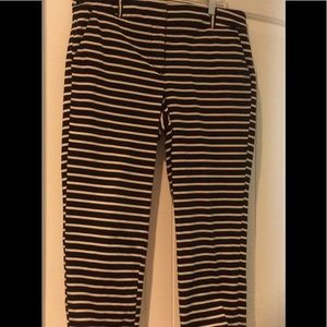 Ann Taylor Loft ankle pants